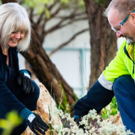 Two people planting in Aqwest's waterwise garden