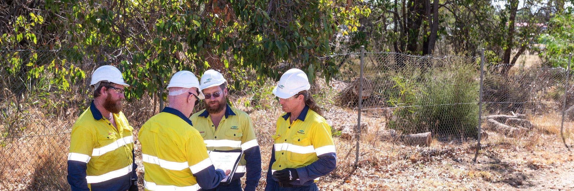 Four people in high vis and white hard hats discussing, in front of a some native trees.