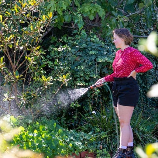 Person watering garden.