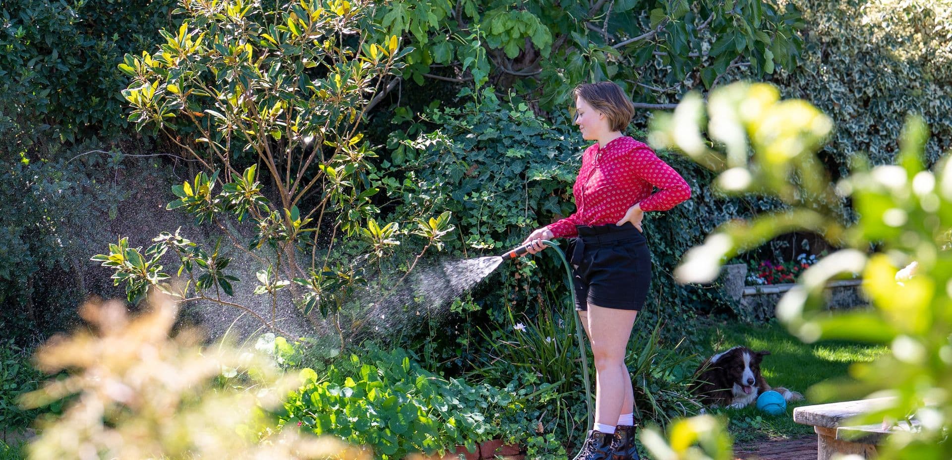 Person watering garden.