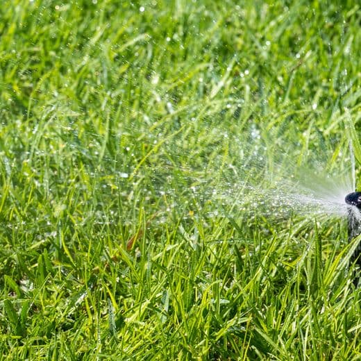 Sprinkler watering grass