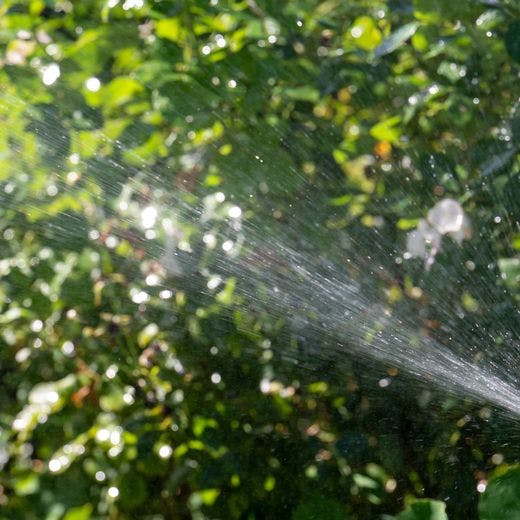 Sprinkler watering garden