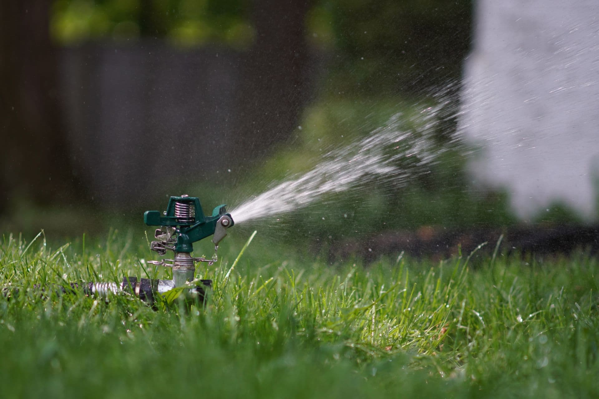 Sprinker on the grass